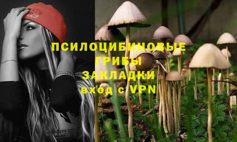 blacksprut ссылка  Зуевка  Галлюциногенные грибы MAGIC MUSHROOMS 